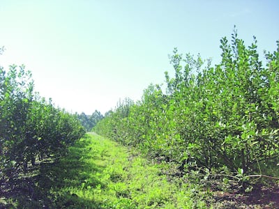 /pf/resources/images/abc-placeholder.png?d=2393