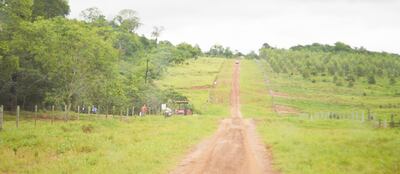 Los supuestos “campesinos” derribaron las alambradas e ingresaron a la propiedad privada. Los ganaderos lamentan el atropello.