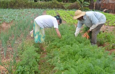 /pf/resources/images/abc-placeholder.png?d=2398