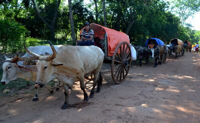 /pf/resources/images/abc-placeholder.png?d=2395