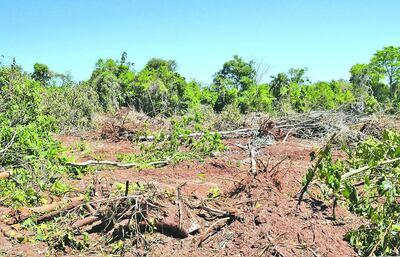 /pf/resources/images/abc-placeholder.png?d=2430