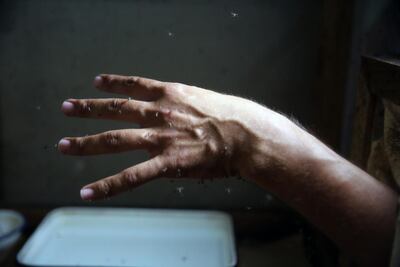 /pf/resources/images/abc-placeholder.png?d=2394