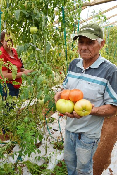 Imagen sin descripción
