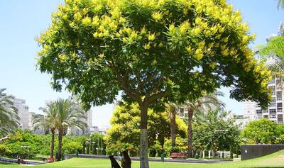 /pf/resources/images/abc-placeholder.png?d=2422