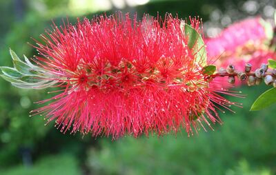 /pf/resources/images/abc-placeholder.png?d=2425