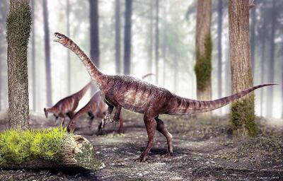 /pf/resources/images/abc-placeholder.png?d=2394