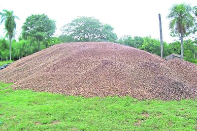 /pf/resources/images/abc-placeholder.png?d=2421