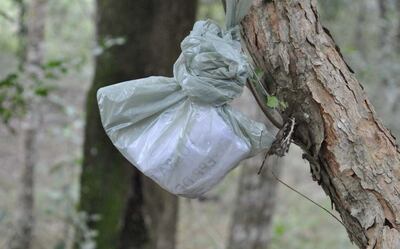 /pf/resources/images/abc-placeholder.png?d=2421