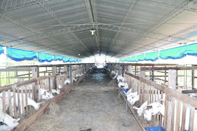 /pf/resources/images/abc-placeholder.png?d=2394