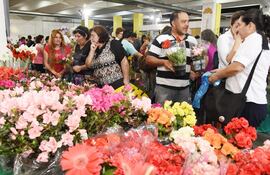 expo-flora-2015-recibe-con-anticipacion-la-primavera-00657000000-1378533.jpg