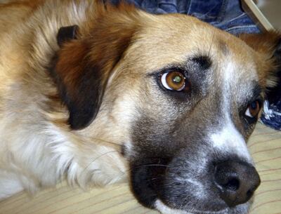 /pf/resources/images/abc-placeholder.png?d=2393