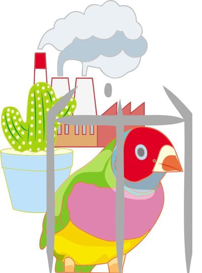 /pf/resources/images/abc-placeholder.png?d=2422