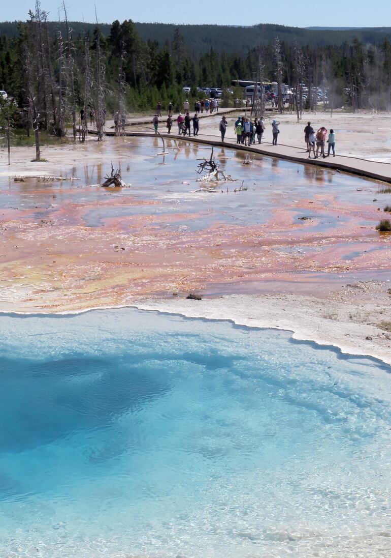 Invitan a saltar, pero esas aguas están a una temperatura insospechada: las fuentes del Parque de Yellowstone.