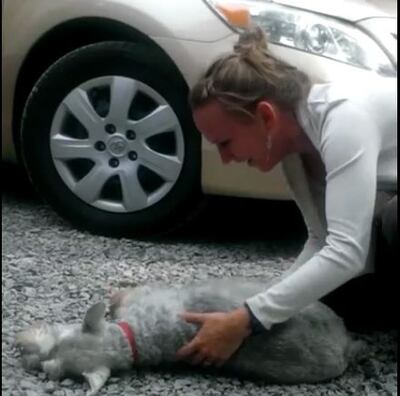 /pf/resources/images/abc-placeholder.png?d=2395