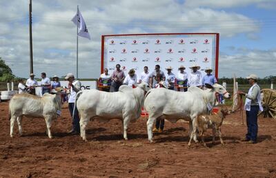 /pf/resources/images/abc-placeholder.png?d=2395