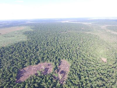 /pf/resources/images/abc-placeholder.png?d=2395