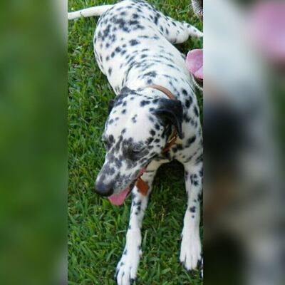 /pf/resources/images/abc-placeholder.png?d=2428