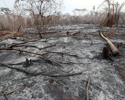 Zona de Chiquitania, castigada por los inclementes incendios en Bolivia desde hace semanas, luego de que el presidente Evo Morales autorizara por decreto la ampliación, por cuatro veces más, de zonas a ser quemadas para ampliar la agriculura. (EFE)
