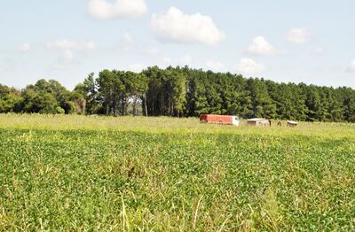 /pf/resources/images/abc-placeholder.png?d=2395