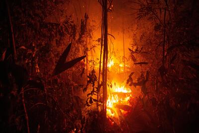 Una zona de selva se consume por las llamas de uno de los grandes incendios que azotan la Amazonía, en una imagen capturada el sábado cerca de Porto Velho, Brasil.