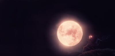 Reyes del videojuego