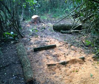 /pf/resources/images/abc-placeholder.png?d=2393