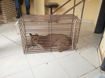 /pf/resources/images/abc-placeholder.png?d=2421