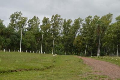 /pf/resources/images/abc-placeholder.png?d=2394