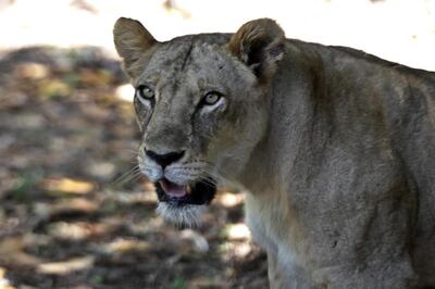 /pf/resources/images/abc-placeholder.png?d=2420