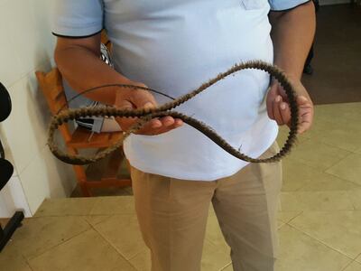 /pf/resources/images/abc-placeholder.png?d=2393