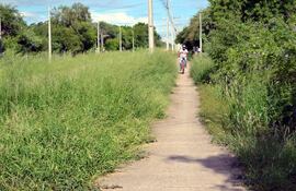 pobladores-de-filadelfia-piden-a-las-autoridades-comunales-limpiar-las-calles-de-la-ciudad-con-las-frecuentes-lluvias-las-malezas-crecen-rapidamente-212611000000-1041234.jpg