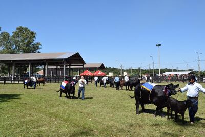 /pf/resources/images/abc-placeholder.png?d=2411