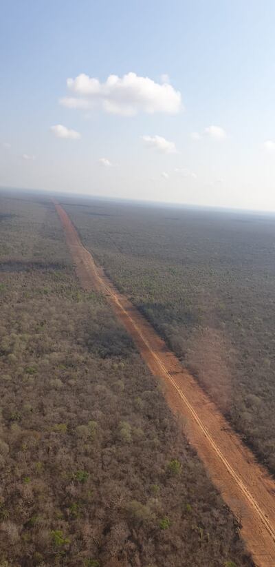 Los combatientes contra el fuego tuvieron que despejar una gran franja boscosa, lo que logró finalmente frenar el fuego.