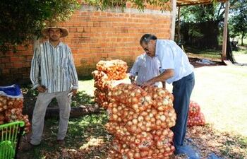 convocan-a-productores-a-registrarse-en-el-plan-de-certificacion-de-cebolla-84018000000-1586009.JPG
