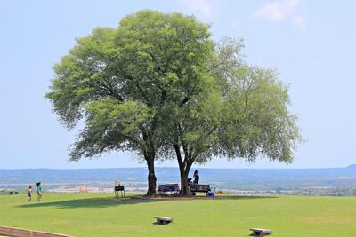 /pf/resources/images/abc-placeholder.png?d=2394