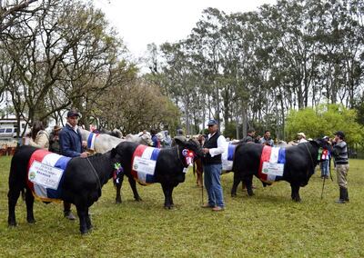 /pf/resources/images/abc-placeholder.png?d=2393