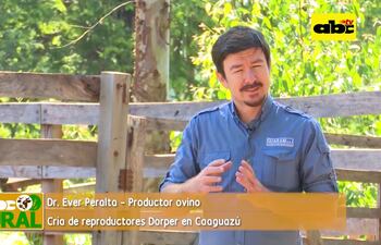 Reproducción de ejemplares ovinos