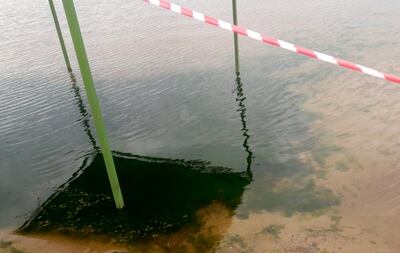 Parte del    “manchón” de algas verdes que apareció en  la playa Pirayú del río Paraná, en el distrito de  Carmen del Paraná.