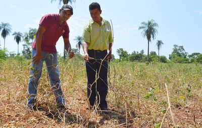 /pf/resources/images/abc-placeholder.png?d=2395