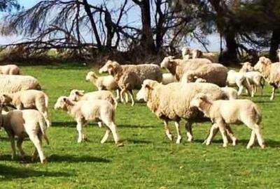 /pf/resources/images/abc-placeholder.png?d=2398