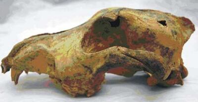 /pf/resources/images/abc-placeholder.png?d=2394