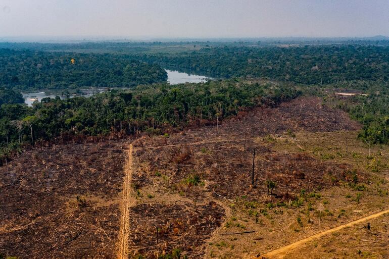 Una zona deforestada de la selva amazónica en el estado brasileño de Matto Grosso.