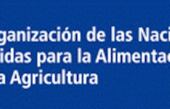 fao-y-unesco-crean-alianza-para-fortalecer-la-educacion-alimentaria-y-erradicar-el-hambre-y-el-sobrepeso-92431000000-1642496.gif