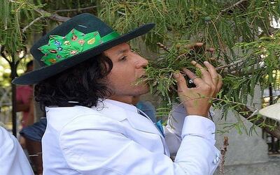 Imagen sin descripción