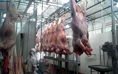 Los frigoríficos nacionales no están trabajando actualmente al tope. Además, las empresas procesadoras de cuero también están pasando por un momento complejo, dijo Korni Pauls.