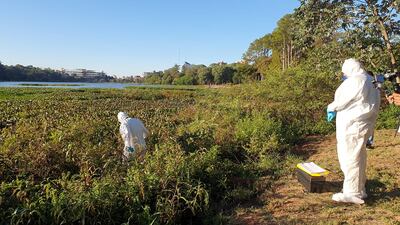 Los bomberos con vestimenta especial retiraron el cuerpo como prevención al COVID-19.