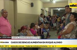 Casos de dengue aumentan en Roque Alonso