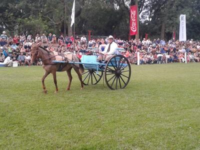 /pf/resources/images/abc-placeholder.png?d=2419