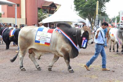 /pf/resources/images/abc-placeholder.png?d=2394