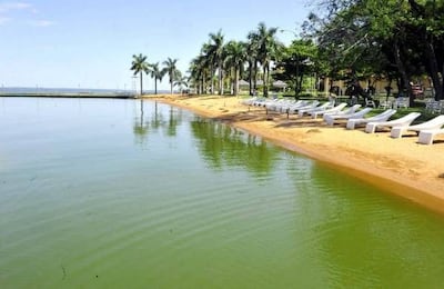 Imagen sin descripción